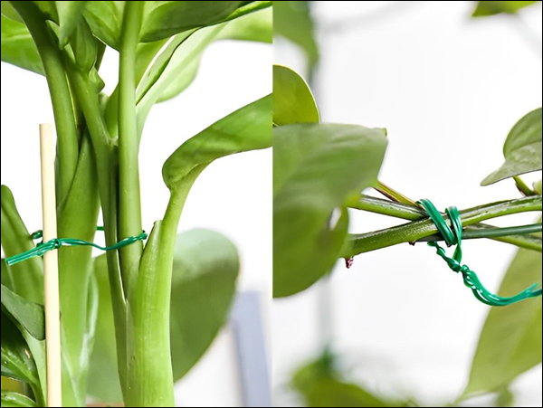 Soft Annealed Wire for Garden Use